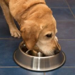 Antischling Napf Edelstahl -Günstiges Futter Leine Geschäft 66349 antischlingnapf fg 1011 1