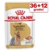 30 + 10 / 36 + 12 Gratis! 40 X 140 G / 48 X 85 G Royal Canin Adult -Günstiges Futter Leine Geschäft 68762 royal canin breed yorkshireterrier 85g 2 7