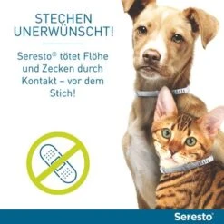 Seresto® Halsband Hund -Günstiges Futter Leine Geschäft 68989 68990 seresto halsband hund hs 05 7