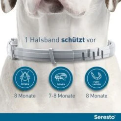 Seresto® Halsband Hund -Günstiges Futter Leine Geschäft 68989 68990 seresto halsband hund hs 11 5