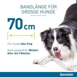 Seresto® Halsband Hund -Günstiges Futter Leine Geschäft 68989 68990 seresto halsband hund hs 13 0