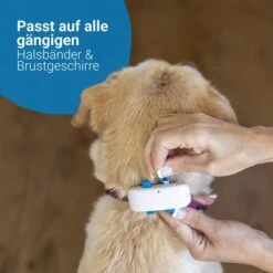 Tractive GPS Tracker Für Hundeneu -Günstiges Futter Leine Geschäft 6 tractive gps hund 7