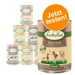 Lukullus Naturkost Getreidefreies Probierpaket 6 X 400 G