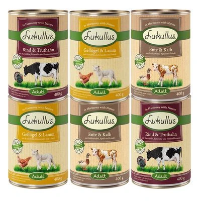 Lukullus Naturkost Getreidefreies Probierpaket 6 X 400 G 4 Lukullus Naturkost Getreidefreies Probierpaket 6 X 400 G – Bild 2