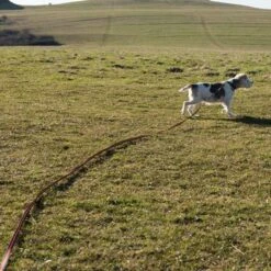 Heim Suchleine Super-Grip -Günstiges Futter Leine Geschäft 71830 supergrip outside fg 3556 0