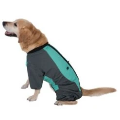 Hundeoverall Mint -Günstiges Futter Leine Geschäft 73483 hundeoverall mint fg 1000px 2914 7
