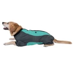 Hundeoverall Mint -Günstiges Futter Leine Geschäft 73483 hundeoverall mint fg 1000px 2917 6