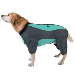 Hundeoverall Mint -Günstiges Futter Leine Geschäft 73483 hundeoverall mint fg 1000px 2918 2 5