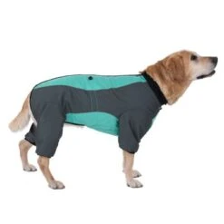 Hundeoverall Mint -Günstiges Futter Leine Geschäft 73483 hundeoverall mint fg 1000px 2923 4