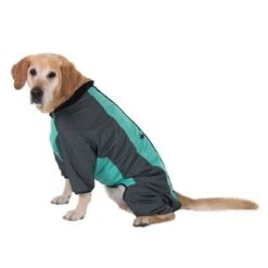 Hundeoverall Mint -Günstiges Futter Leine Geschäft 73483 hundeoverall mint fg 1000px 2931 2