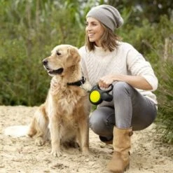 Flexi New Neon Gurt-Leine, 5 M -Günstiges Futter Leine Geschäft 74648 flexi new neon s hs 05 3