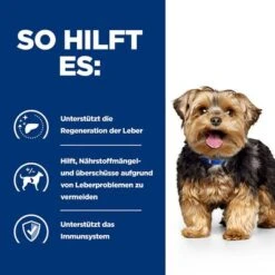 Hill's Prescription Diet L/d Liver Care Nassfutter Für Hunde -Günstiges Futter Leine Geschäft 75106 hills prescriptiondiet ld livercare nassfutter hunde hs 05 0