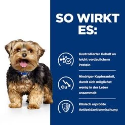 Hill's Prescription Diet L/d Liver Care Nassfutter Für Hunde -Günstiges Futter Leine Geschäft 75106 hills prescriptiondiet ld livercare nassfutter hunde hs 06 7