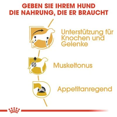 Royal Canin Dachshund Mousse 6 Royal Canin Dachshund Mousse – Bild 4