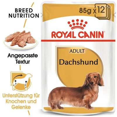 Royal Canin Dachshund Mousse 3 Royal Canin Dachshund Mousse