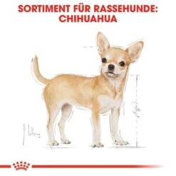 Royal Canin Chihuahua Mousse 10 Royal Canin Chihuahua Mousse -Günstiges Futter Leine Geschäft 77919 rc breed chihuahua wet hs 01 5