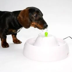 Trinkbrunnen Neptun -Günstiges Futter Leine Geschäft 80407 trinkbrunnen trevi fg nachschlag 3283 6