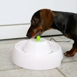 Trinkbrunnen Neptun -Günstiges Futter Leine Geschäft 80407 trinkbrunnen trevi fg nachschlag 3305 7