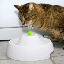 Trinkbrunnen Neptun -Günstiges Futter Leine Geschäft 80407 trinkbrunnen trevi fg nachschlag 3328 6