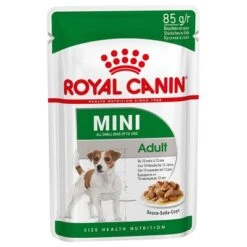30 + 10 / 36 + 12 Gratis! 40 X 140 G / 48 X 85 G Royal Canin -Günstiges Futter Leine Geschäft 83013 pla royalcanin mini adultpouch 85 6 1