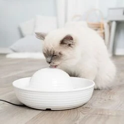 Trixie Keramik Trinkbrunnen Vital Flow -Günstiges Futter Leine Geschäft 83797 trixie trinkbrunnen keramik vital flow mini hs 02 9