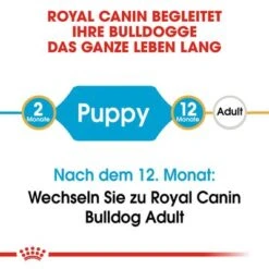 Royal Canin Bulldog Puppy -Günstiges Futter Leine Geschäft 84439 rc breed bulldog puppy hs 01 3