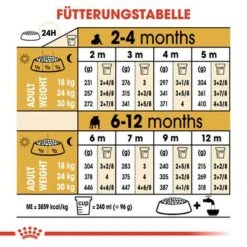 Royal Canin Bulldog Puppy -Günstiges Futter Leine Geschäft 84439 rc breed bulldog puppy hs 05 4