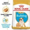 Royal Canin Bulldog Puppy -Günstiges Futter Leine Geschäft 84439 rc breed bulldog puppy mainpic 8