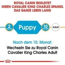 Royal Canin Cavalier King Charles Puppy 15 Royal Canin Cavalier King Charles Puppy -Günstiges Futter Leine Geschäft 84453 rc cavalier king charles puppy hs 01 5