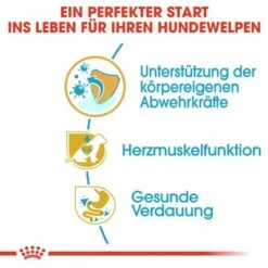 Royal Canin Cavalier King Charles Puppy 12 Royal Canin Cavalier King Charles Puppy -Günstiges Futter Leine Geschäft 84453 rc cavalier king charles puppy hs 03 0