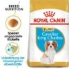 Royal Canin Cavalier King Charles Puppy -Günstiges Futter Leine Geschäft 84453 rc cavalier king charles puppy mainpic 5