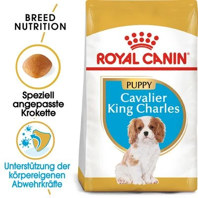 Royal Canin Cavalier King Charles Puppy 3 Royal Canin Cavalier King Charles Puppy