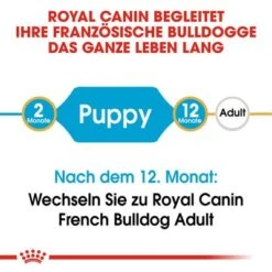 Royal Canin French Bulldog Puppy -Günstiges Futter Leine Geschäft 84455 rc bhn puppyfrenchbulldog cm eretailkit 1de de 3