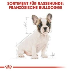 Royal Canin French Bulldog Puppy -Günstiges Futter Leine Geschäft 84455 rc bhn puppyfrenchbulldog cm eretailkit 4de de 5