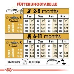 Royal Canin French Bulldog Puppy -Günstiges Futter Leine Geschäft 84455 rc bhn puppyfrenchbulldog cm eretailkit 5 de de 8