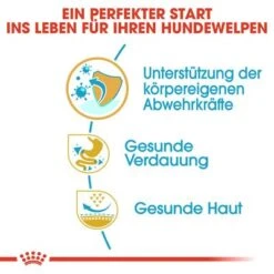 Royal Canin French Bulldog Puppy -Günstiges Futter Leine Geschäft 84455 rc bhn puppyfrenchbulldog cm eretailkit de de 2