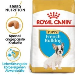 Royal Canin French Bulldog Puppy
