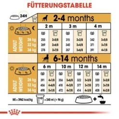 Royal Canin Boxer Puppy -Günstiges Futter Leine Geschäft 84598 rc breed boxer puppy hs 05 6