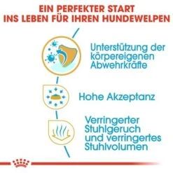 Royal Canin Chihuahua Puppy -Günstiges Futter Leine Geschäft 84601 rc chihuahua puppy hs 03 1