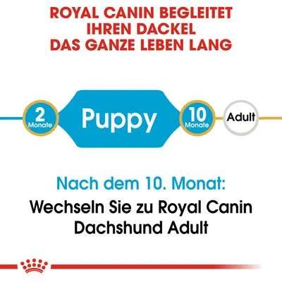 Royal Canin Dachshund Puppy 8 Royal Canin Dachshund Puppy – Bild 6
