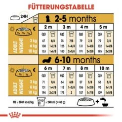 Royal Canin Dachshund Puppy 15 Royal Canin Dachshund Puppy -Günstiges Futter Leine Geschäft 84603 rc breed dachshund puppy hs 05 6