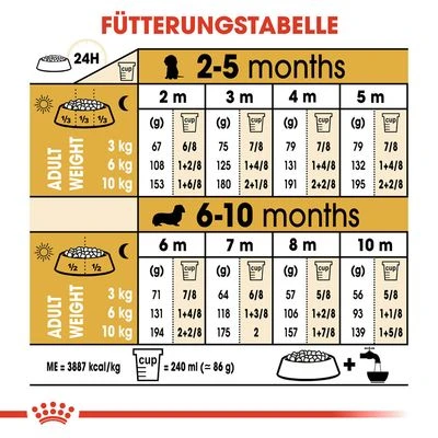 Royal Canin Dachshund Puppy 9 Royal Canin Dachshund Puppy – Bild 7