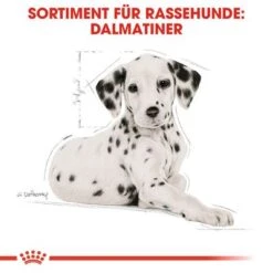 Royal Canin Dalmatian Puppy -Günstiges Futter Leine Geschäft 84604 rc bhn puppydalmatian cm eretailkit 4de de 9
