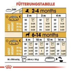 Royal Canin Dalmatian Puppy -Günstiges Futter Leine Geschäft 84604 rc bhn puppydalmatian cm eretailkit 5 de 4