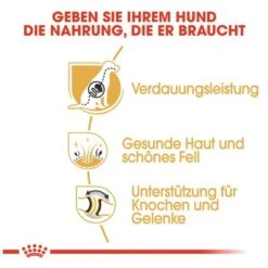 Royal Canin German Shepherd Adult -Günstiges Futter Leine Geschäft 84716 rc german shepherd adult hs 04 0