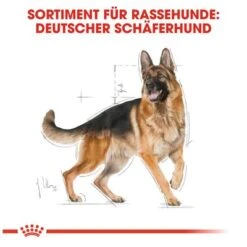 Royal Canin German Shepherd Adult -Günstiges Futter Leine Geschäft 84716 rc german shepherd adult hs 06 0