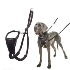 Halti No Pull Harness Trainingsgeschirr -Günstiges Futter Leine Geschäft 92496 92497 halti front control trainingsgeschirr hs 05 0