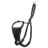 Halti No Pull Harness Trainingsgeschirr -Günstiges Futter Leine Geschäft 92497 pla coa halti no pull harness hs 02 4