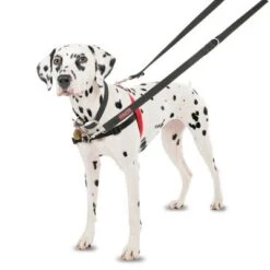 Halti Front Control Trainingsgeschirr -Günstiges Futter Leine Geschäft 94510 coa halti front controll harness hs 01 3