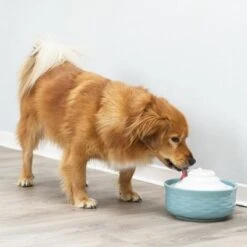 Trixie Keramik Trinkbrunnen Vital Falls -Günstiges Futter Leine Geschäft 98396 trixie trinkbrunnen vital falls keramik hs 09 2